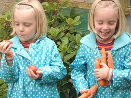 Home gardening for kids