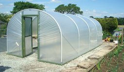 Polytunnel