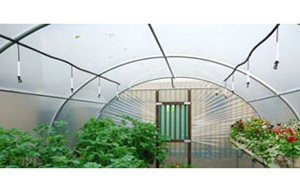 Polytunnel Irrigation