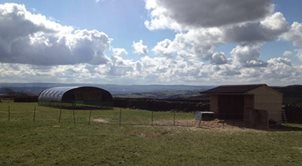 Polytunnel for Windy Location