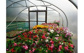 Polytunnel for Garden