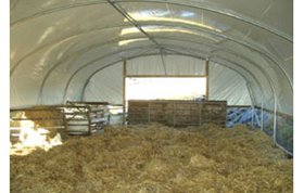 Sheep Polytunnel