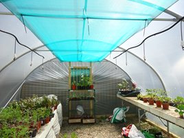 Polytunnel temperature control