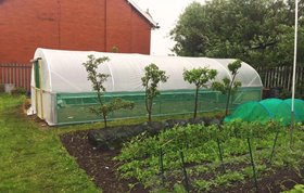 Polytunnel Planning Permission